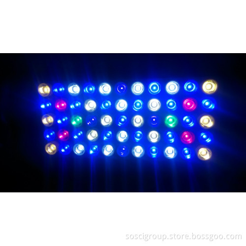 High Quality Chinese LED Aquarium Light